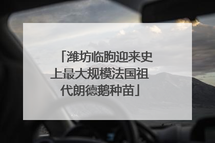 潍坊临朐迎来史上最大规模法国祖代朗德鹅种苗
